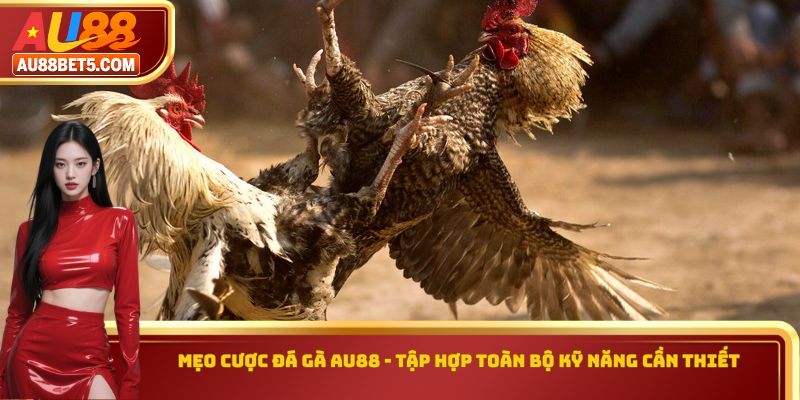 Mẹo Cược Đá Gà AU88 - Tập Hợp Toàn Bộ Kỹ Năng Cần Thiết